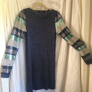 Glitter sleeve dress